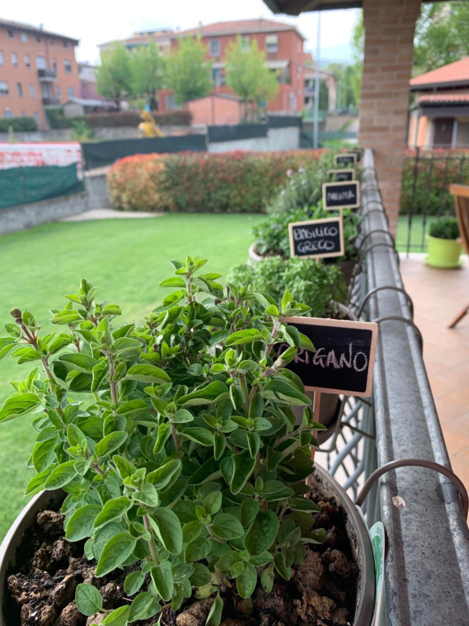 Appartamento Con Giardino Pontecchio Marconi エクステリア 写真